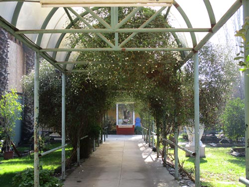 Hogar San Carlos, Recoleta